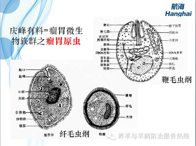港股牛熊证有赚钱的吗_微牛怎么赚钱_赚钱的微信