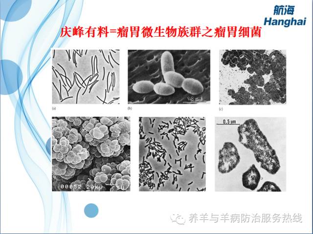 微牛怎么赚钱_港股牛熊证有赚钱的吗_赚钱的微信