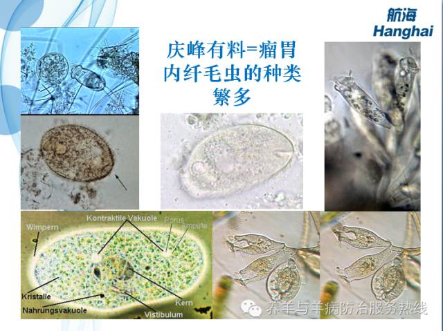 微牛怎么赚钱_赚钱的微信_港股牛熊证有赚钱的吗