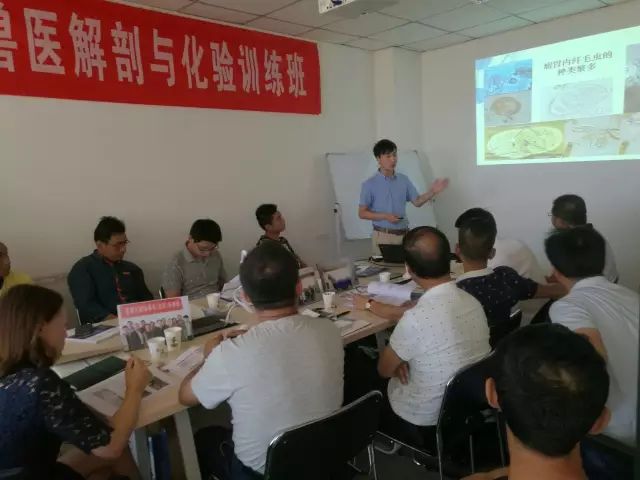 赚钱的微信_港股牛熊证有赚钱的吗_微牛怎么赚钱