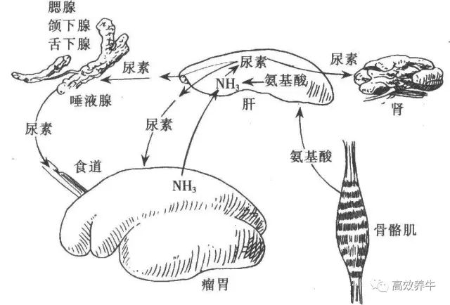 港股牛熊证有赚钱的吗_赚钱的微信_微牛怎么赚钱