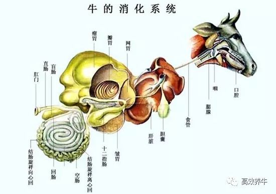 赚钱的微信_港股牛熊证有赚钱的吗_微牛怎么赚钱