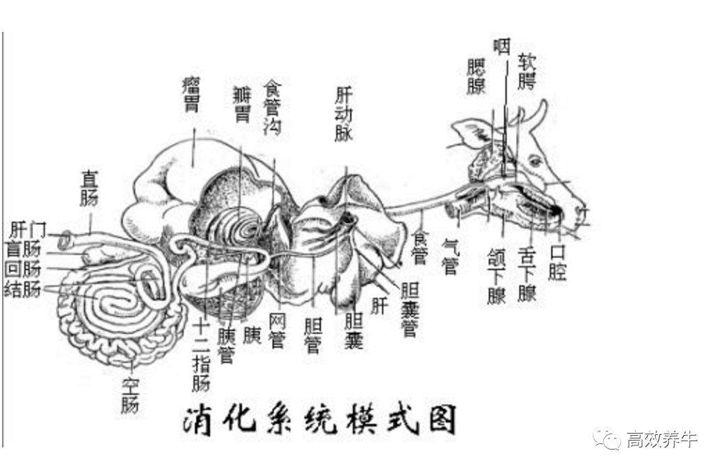 微牛怎么赚钱_港股牛熊证有赚钱的吗_赚钱的微信
