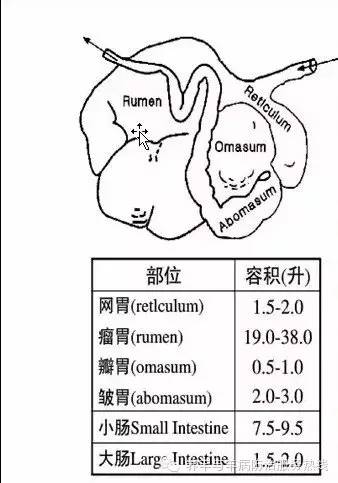 微牛怎么赚钱_港股牛熊证有赚钱的吗_赚钱的微信
