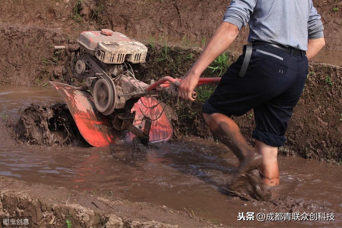 赚钱的牛_牛贩子赚钱吗_牛贩子怎么赚钱的
