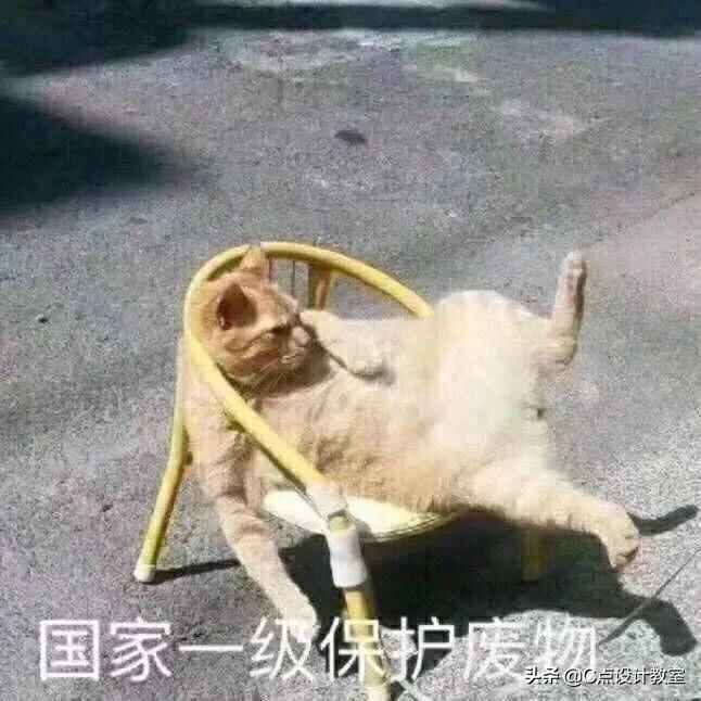 赚钱网下载_赚钱网官网_去哪儿网怎么赚钱