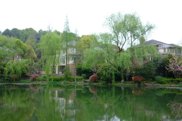 街拍怎么赚钱_街拍的人怎么收入_街拍有钱赚吗