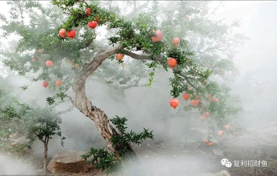 怎么去赚钱最好的方法_赚钱最好方法_赚钱方法去哪里最好