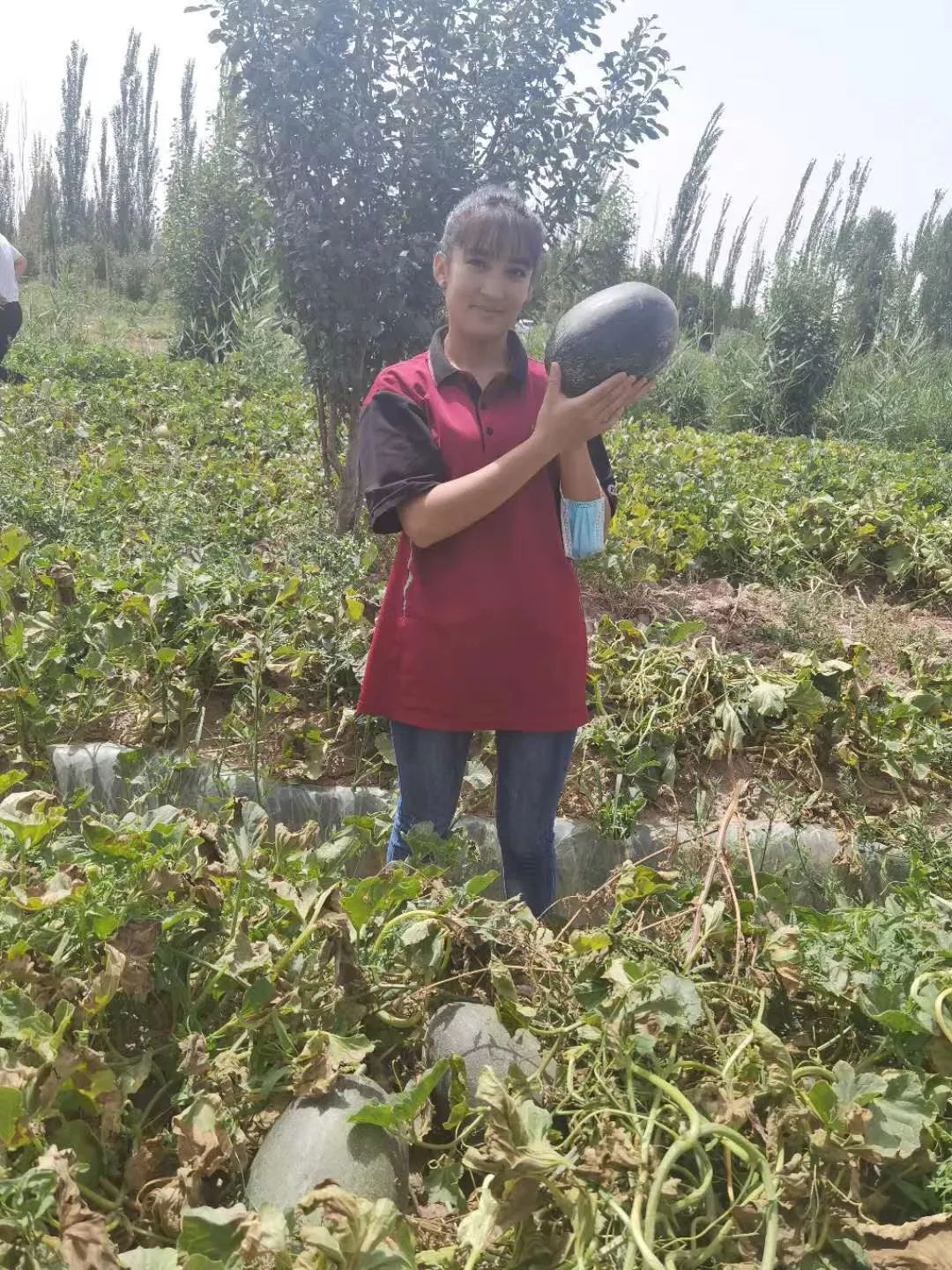 圆通快递怎么赚钱_快递赚钱圆通能赚钱吗_快递赚钱圆通怎么赚钱