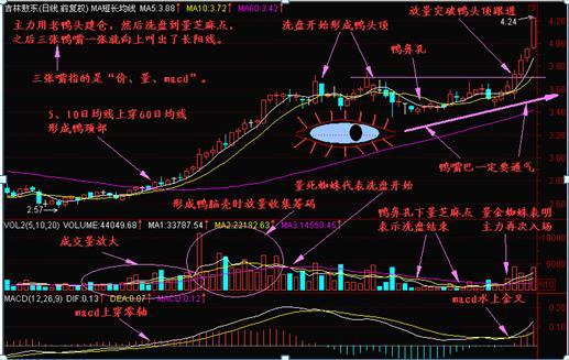 权证赚钱不_权证怎么赚钱_权证赚钱吗