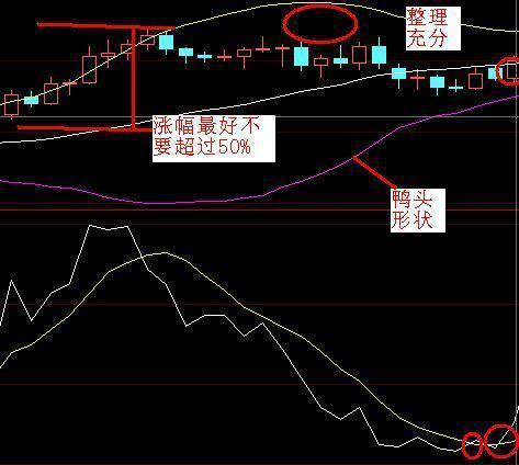 权证赚钱吗_权证怎么赚钱_权证赚钱不