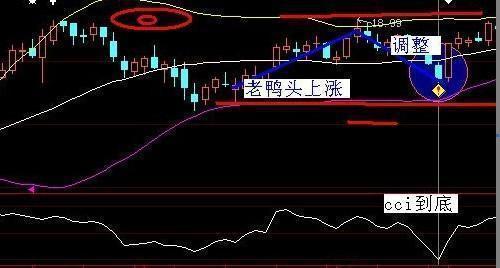 权证赚钱不_权证怎么赚钱_权证赚钱吗