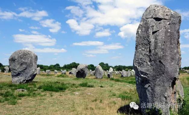 农场大亨赚钱软件下载最新版_农场大亨赚钱游戏_农场大亨怎么赚钱