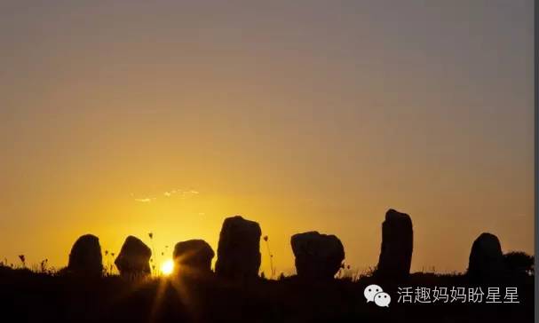 农场大亨赚钱软件下载最新版_农场大亨赚钱游戏_农场大亨怎么赚钱