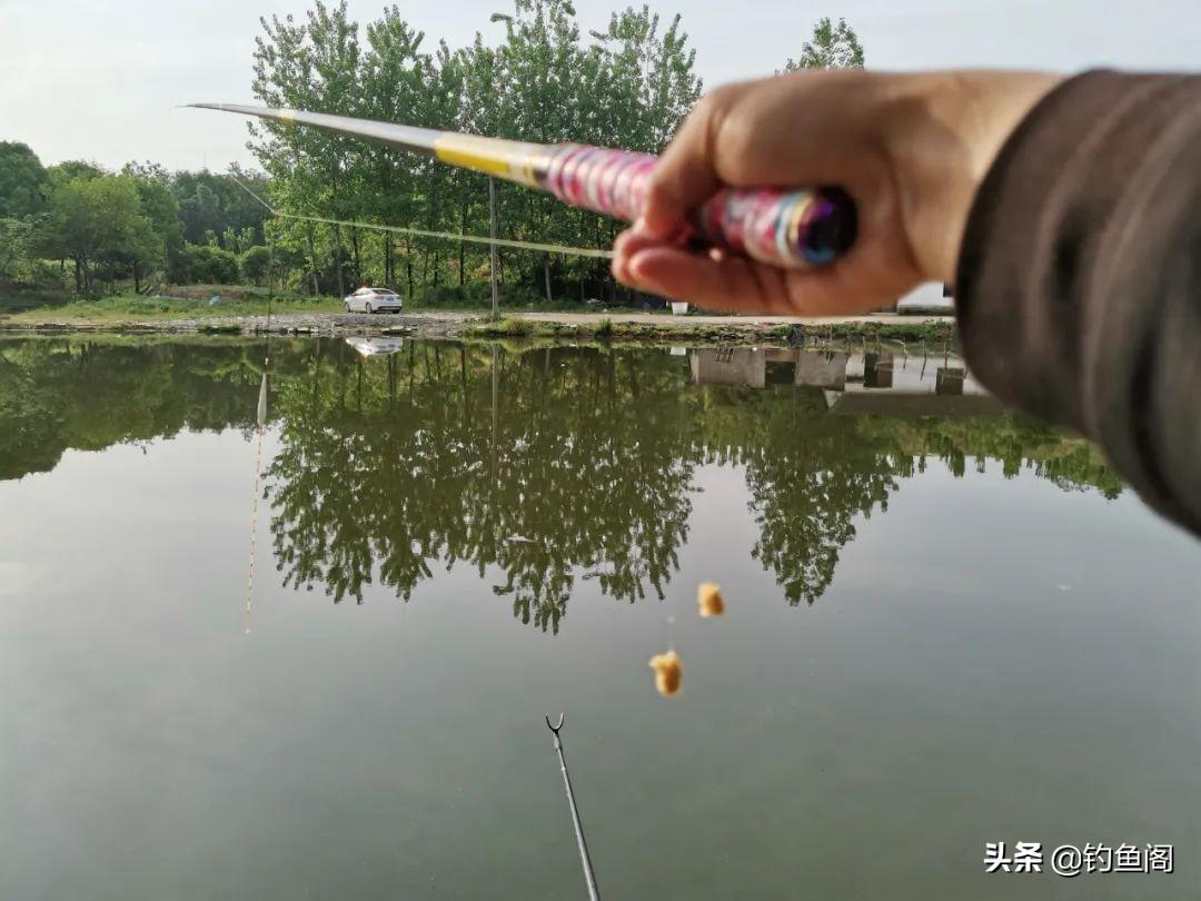 图片[2]-黑坑怎么赚钱-为什么钓鱼人开黑坑都是亏的多？这几个原因当初都没想到-优创圈