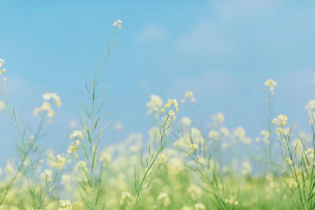 赚钱没有_平时没事怎么赚钱_赚钱事平时没钱的说说