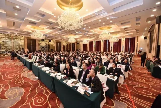 混沌与秩序怎么赚钱快_混沌秩序阵营_混沌秩序online官网