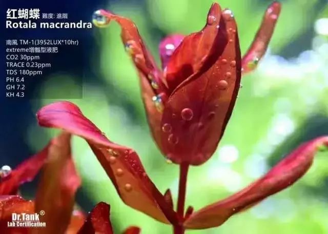 赚钱好难_怎么赚钱才好_赚钱好路子