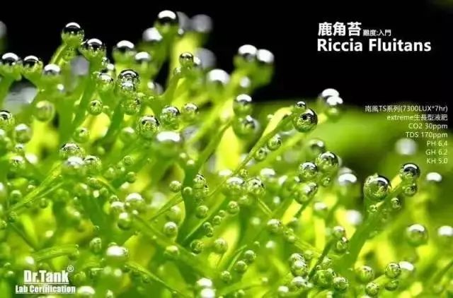 赚钱好难_怎么赚钱才好_赚钱好路子