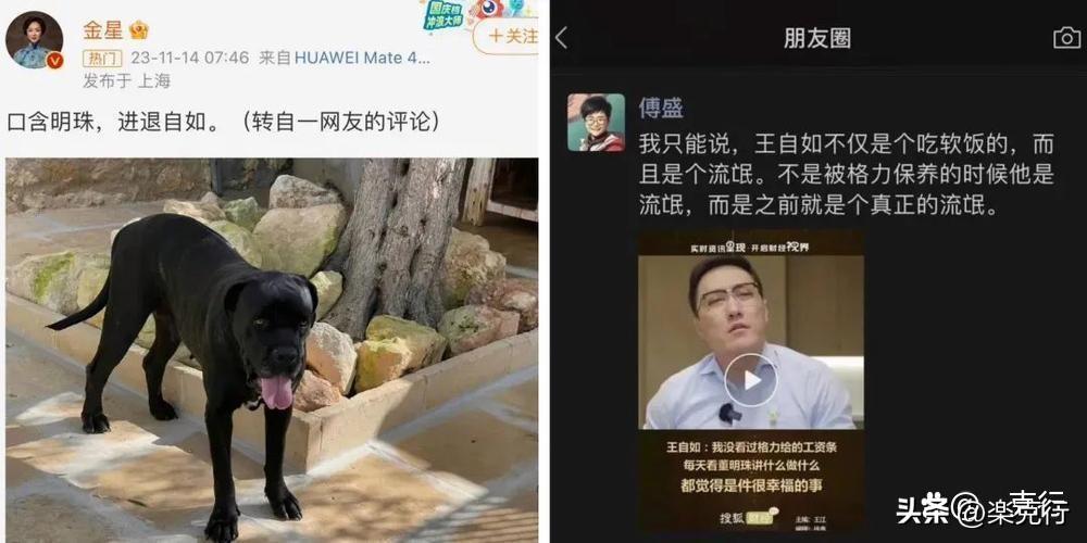图片[2]-王自如怎么赚钱-人多时，人人都骂王自如，人少时，人人都想做王自如。-优创圈