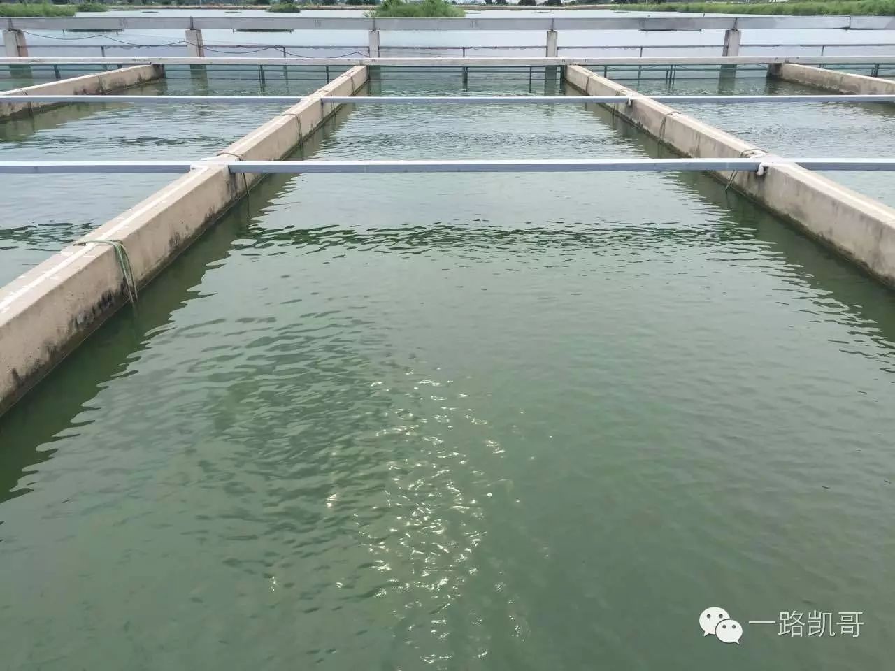 淘金农场怎么赚钱_农场赚钱_农场赚钱游戏是真的吗