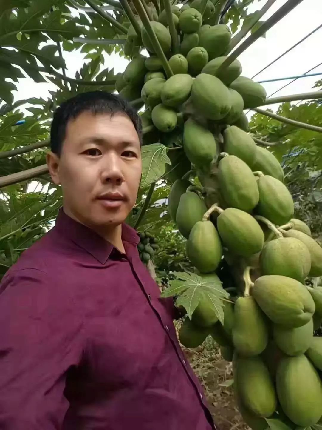 快手红人怎么赚钱的_红人赚钱快手是真的吗_红人赚钱快手怎么赚钱