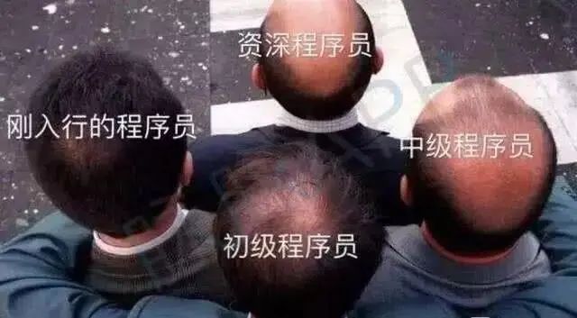 编程能赚钱_会编程怎么赚钱_编程赚钱知乎