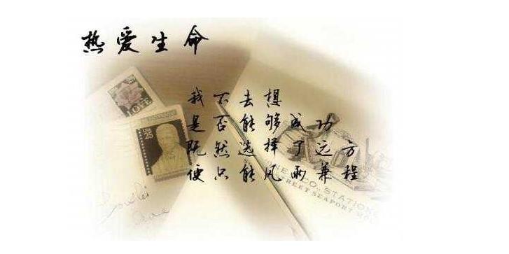 图片[7]-怎么样赚钱最快最多-你们认为赚钱最快门路是什么?-优创圈