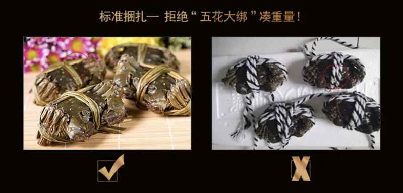 大闸蟹怎么卖赚钱_大闸蟹赚钱卖多少钱_卖大闸蟹赚钱吗