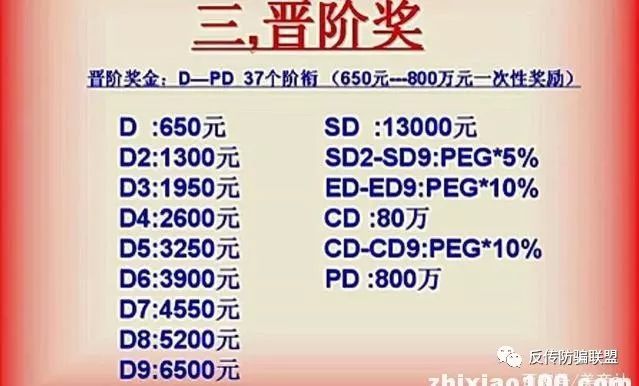 赚钱做美乐家赚钱吗_赚钱做美乐家怎么样_做美乐家怎么赚钱