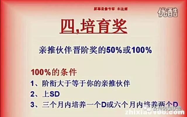 赚钱做美乐家赚钱吗_赚钱做美乐家怎么样_做美乐家怎么赚钱