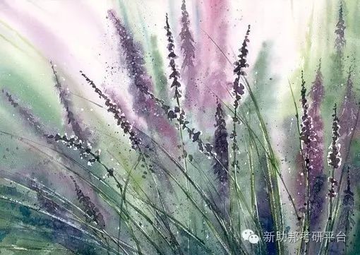 微蜗居怎么赚钱_关于微蜗居的推广_微蜗居