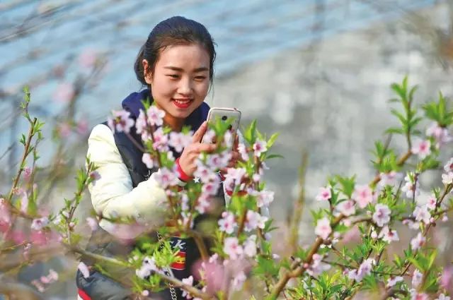 淘金农场游戏制作费用_淘金农场推广怎么赚钱_农场赚钱推广淘金是真的吗