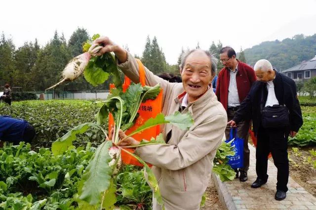 淘金农场推广怎么赚钱_淘金农场游戏制作费用_农场赚钱推广淘金是真的吗