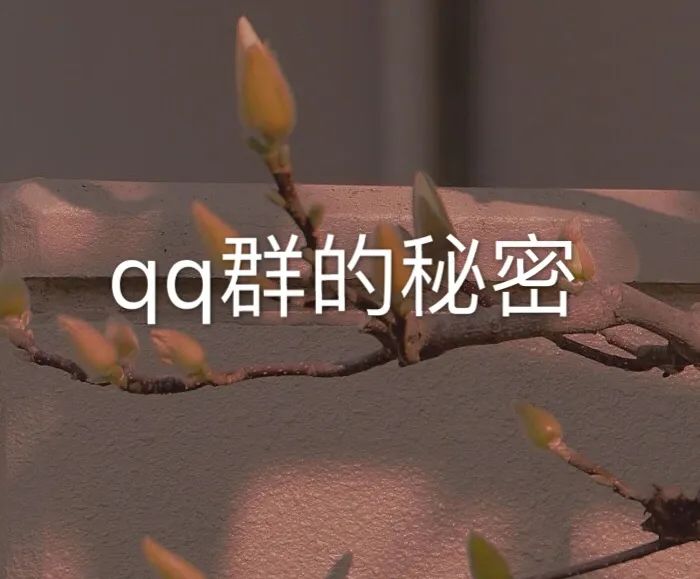 怎么利用qq群赚钱-利用QQ群月赚20000+，手把手教你怎么引流，网赚688项目免费教-优创圈