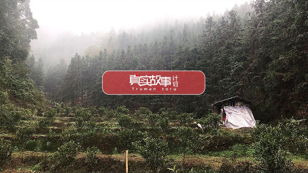 问道捕鱼活动怎么赚钱-疫情来时，我带妻女住进深山-优创圈