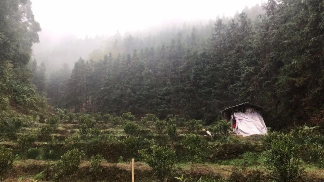 问道捕鱼_问道捕鱼有什么技巧吗_问道捕鱼活动怎么赚钱
