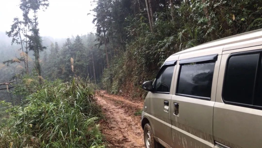 问道捕鱼活动怎么赚钱_问道捕鱼_问道捕鱼有什么技巧吗