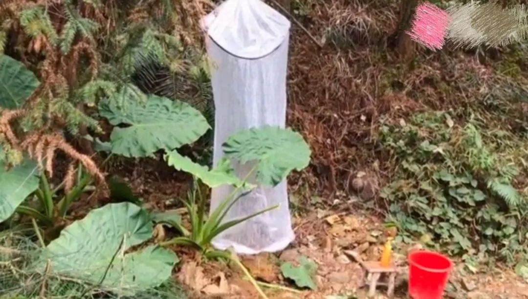 问道捕鱼活动怎么赚钱_问道捕鱼有什么技巧吗_问道捕鱼