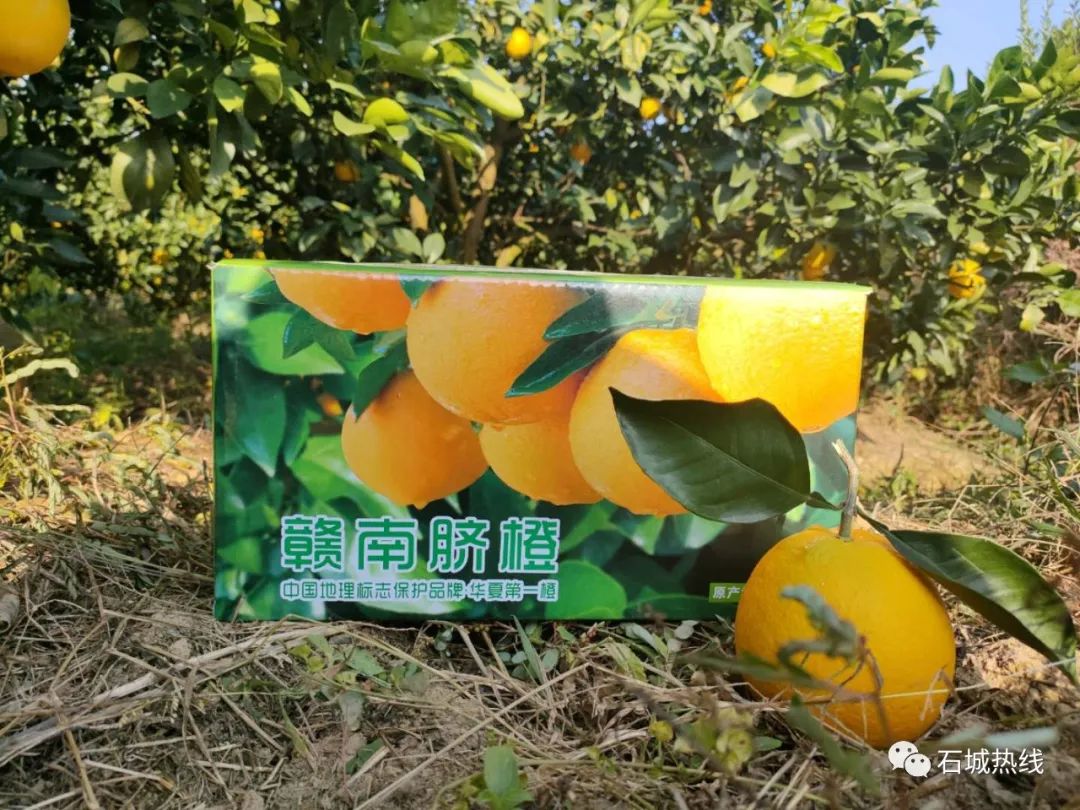 代发赚钱软件_代发哪个平台最好_代发怎么赚钱