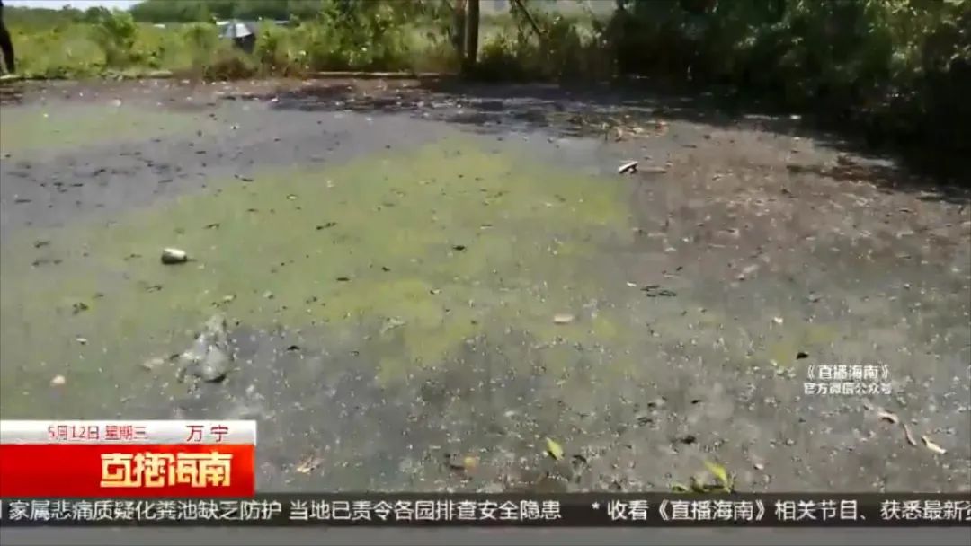 荔枝app怎样赚钱_荔枝怎么赚钱_荔枝怎么赚金币