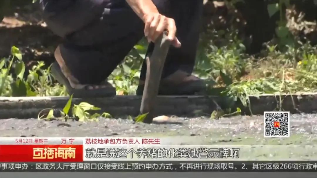 荔枝怎么赚金币_荔枝app怎样赚钱_荔枝怎么赚钱