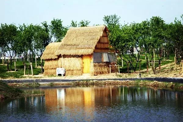 uu农场怎么赚钱_农场赚钱乐下载_农场赚钱下载