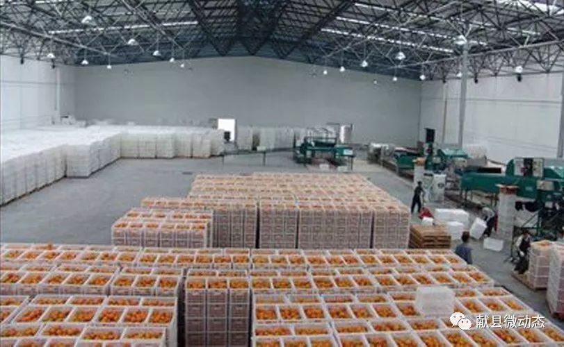 怎么经营冷库赚钱_冷库挣钱_冷库赚钱之道