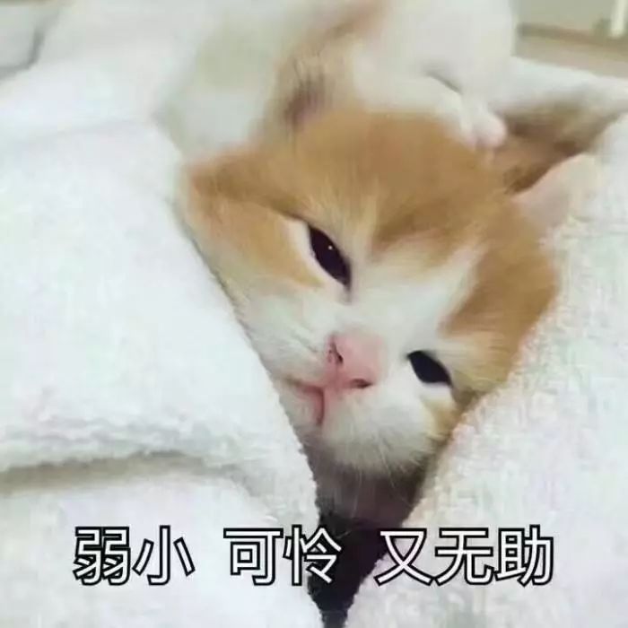 图片[12]-汉匈怎么赚钱-为啥米国要搞华为，提关税？因为亲，我们在打仗！-优创圈