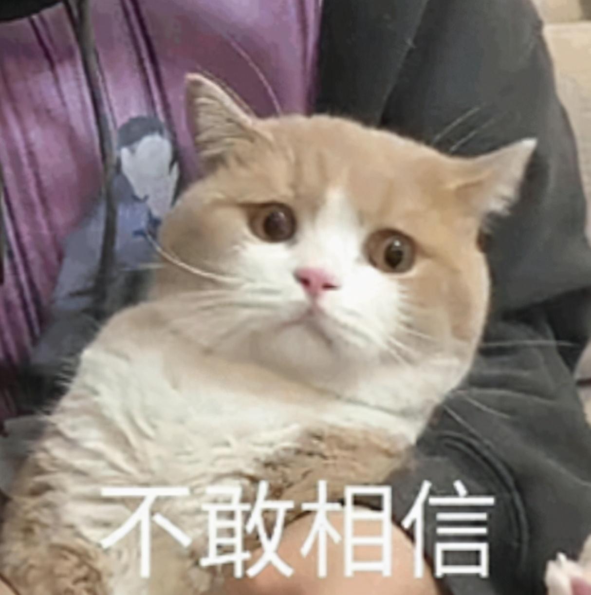 微信外汇怎么赚钱_微信做外汇_外汇赚钱微信怎么提现