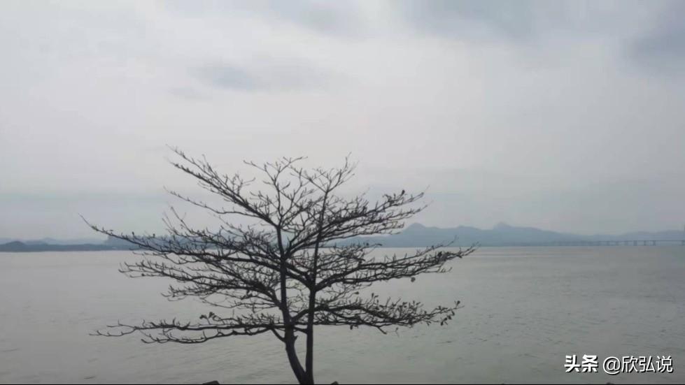 赚钱宝宝可靠吗_宝妈怎么可以赚钱_赚钱宝会影响自己吗