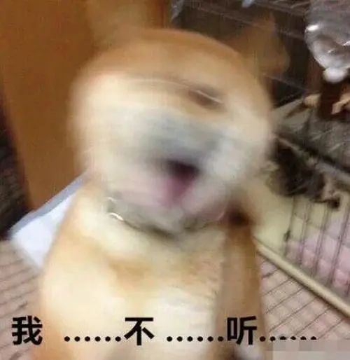 荔枝FM直播怎么赚钱_荔枝fm直播怎么赚钱_荔枝主播赚钱吗