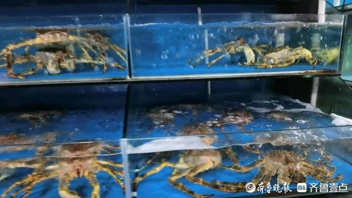 直播吃海鲜怎么赚钱-直播卖海鲜？济南也有！一家海鲜卖家的转型之路-优创圈