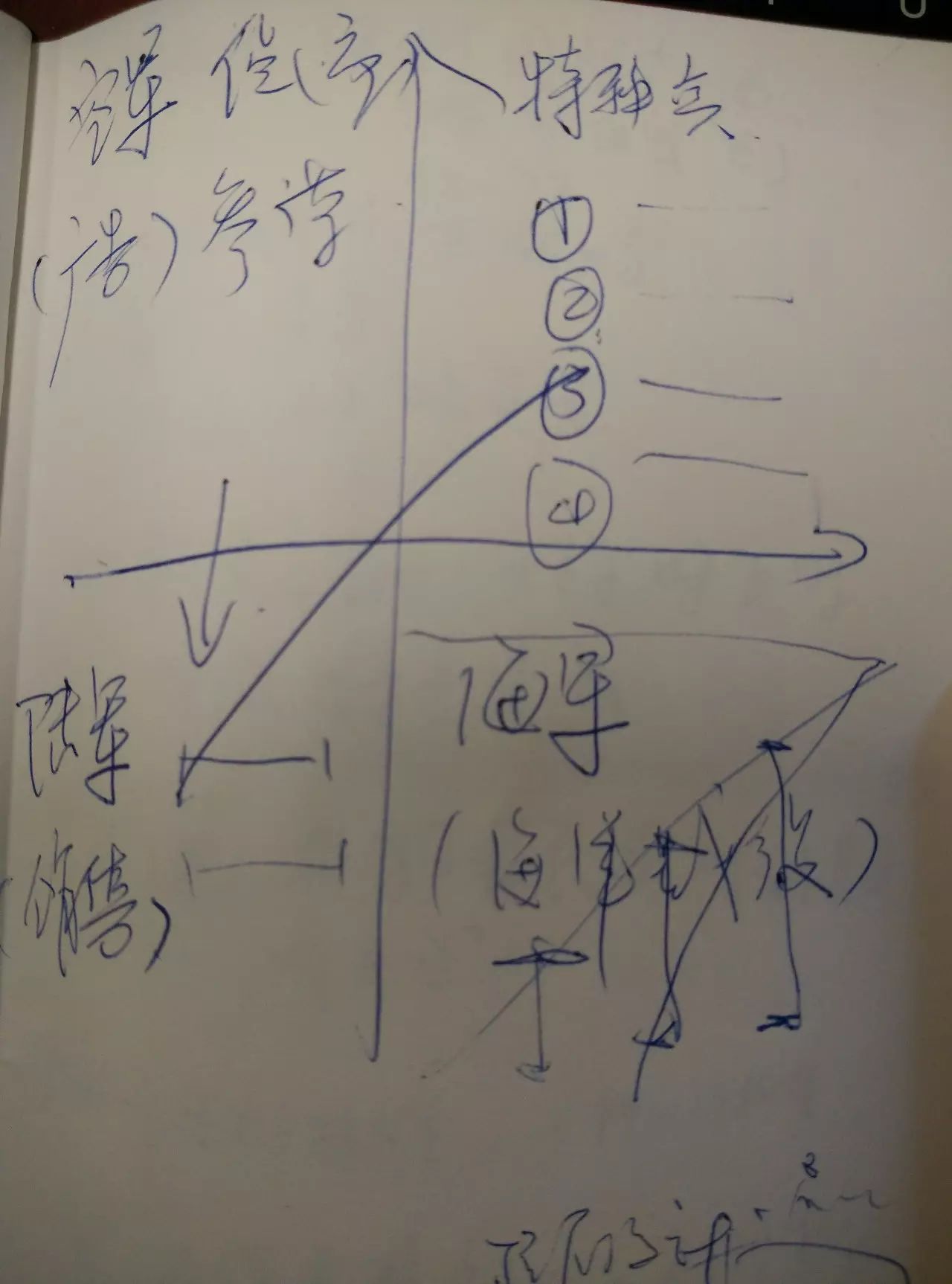 旅行岛为什么会移动_岛屿旅行团_梦之岛之旅怎么赚钱
